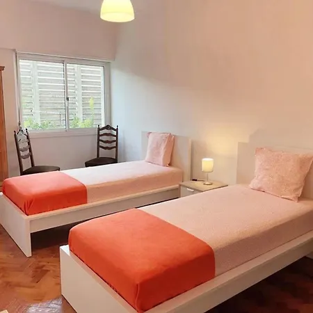 Pavic Apart Full Wifi * Drniš
